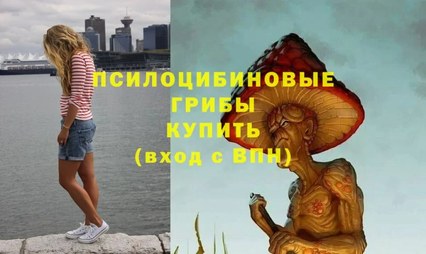не бодяженный Абаза