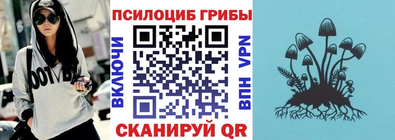 купить   Удачный  Псилоцибиновые грибы прущие грибы 